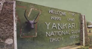 Yankari game reserve at Bauchi State